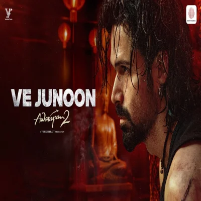 Ve Junoon lyrics cover