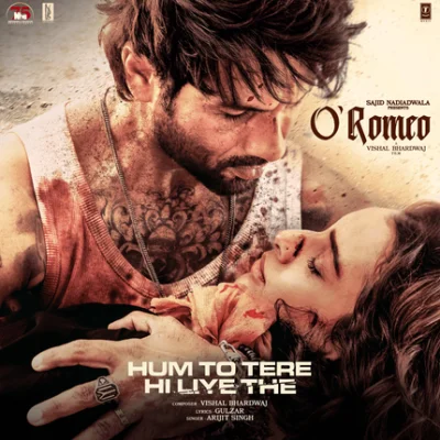 Hum To Tere Hi Liye The lyrics cover
