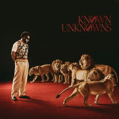 Known Unknowns