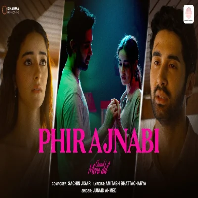 Phir Ajnabi lyrics cover